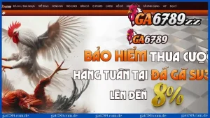 anh-dai-dien