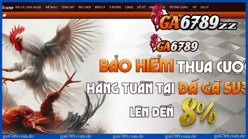 anh-dai-dien