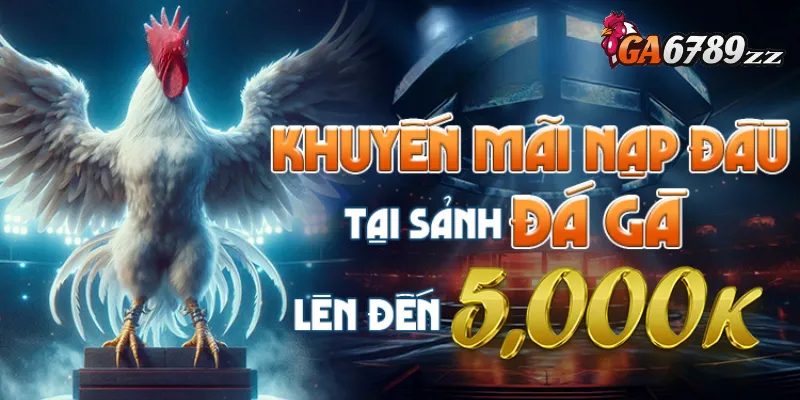 Nạp đầu tại sảnh đá gà nhận thưởng cực khủng