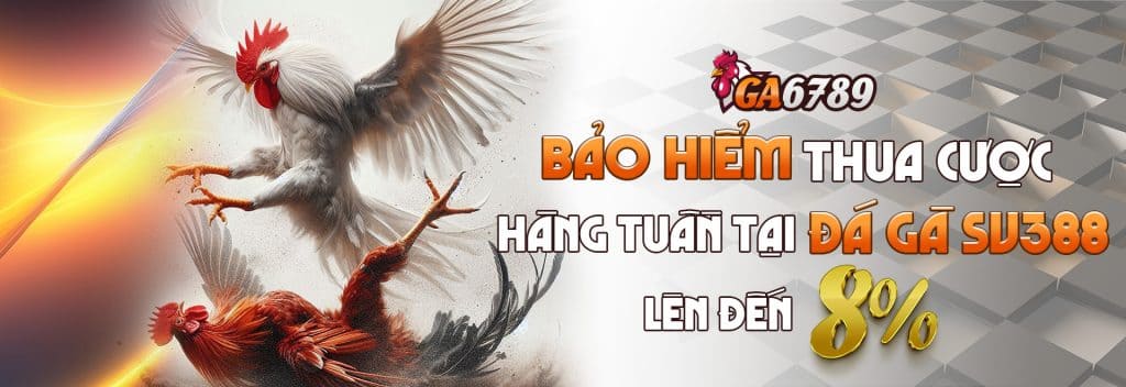 Bảo hiểm thua cược hàng tuần tại nhà cái đá gà Ga6789