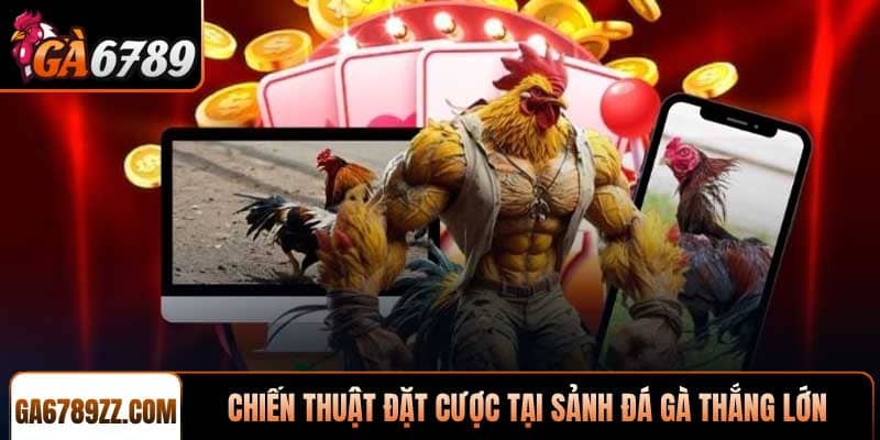 Chiến thuật đặt cược tại Sảnh đá gà ODIN Gamecock thắng lớn